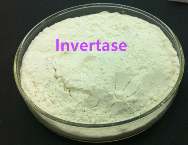 invertase inverso