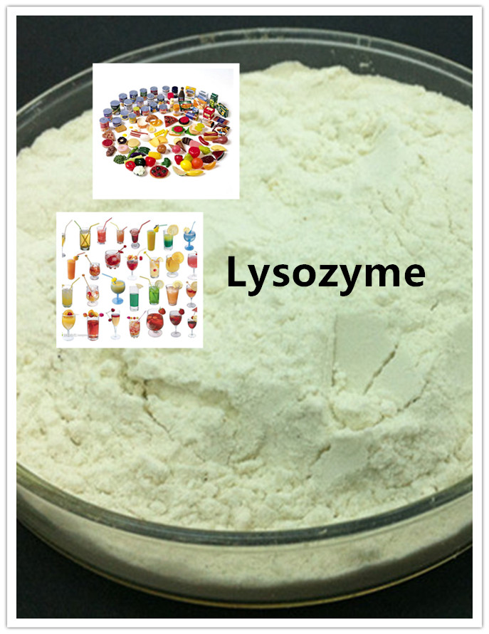 lysozyme lisozima