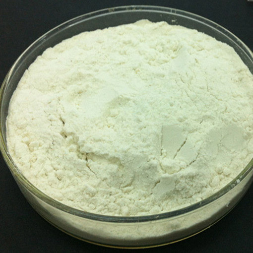 Lisofosfolipasa