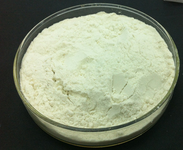 phospholipase a2 fosfolipasa A2
