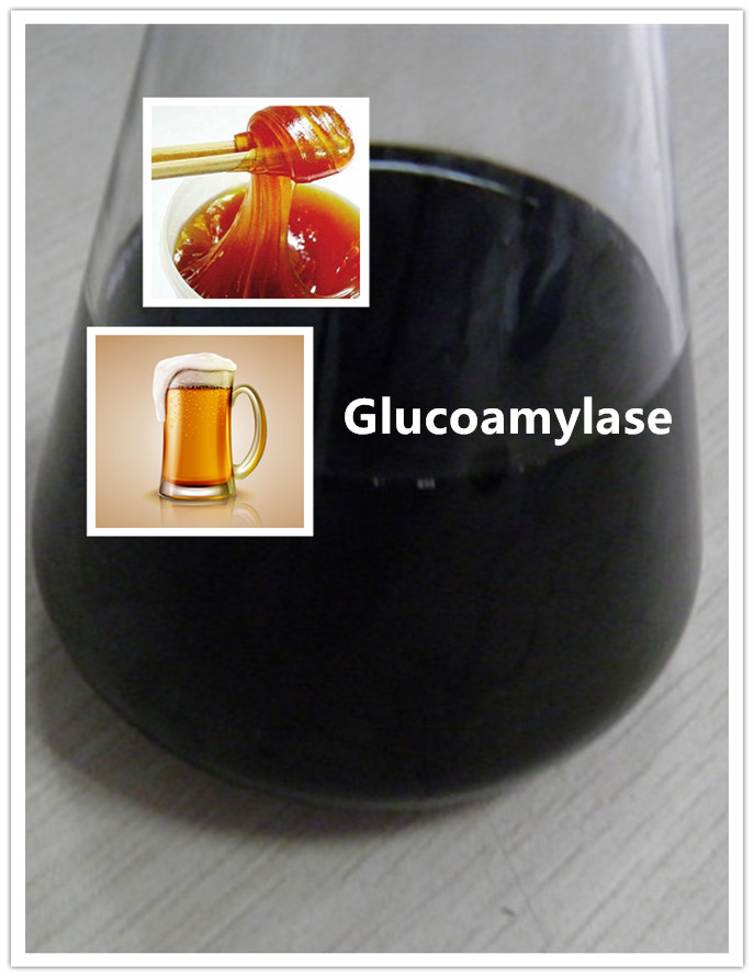 gluco amylase gluco amilasa