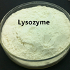 Lisozima