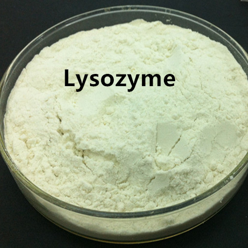 Lisozima