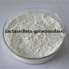 Lactasa