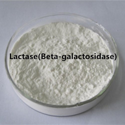 Lactasa
