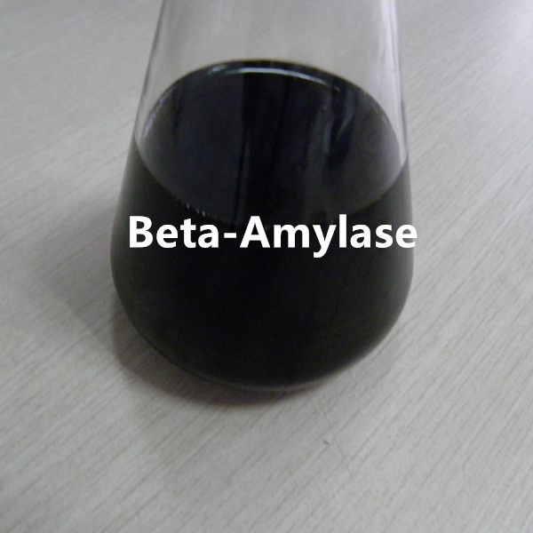 Beta amilasa