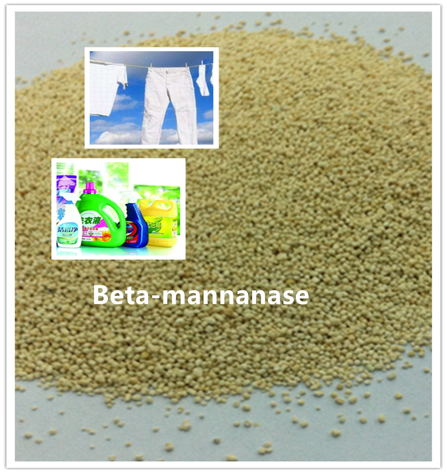 beta mannanase enzyme manánasa beta