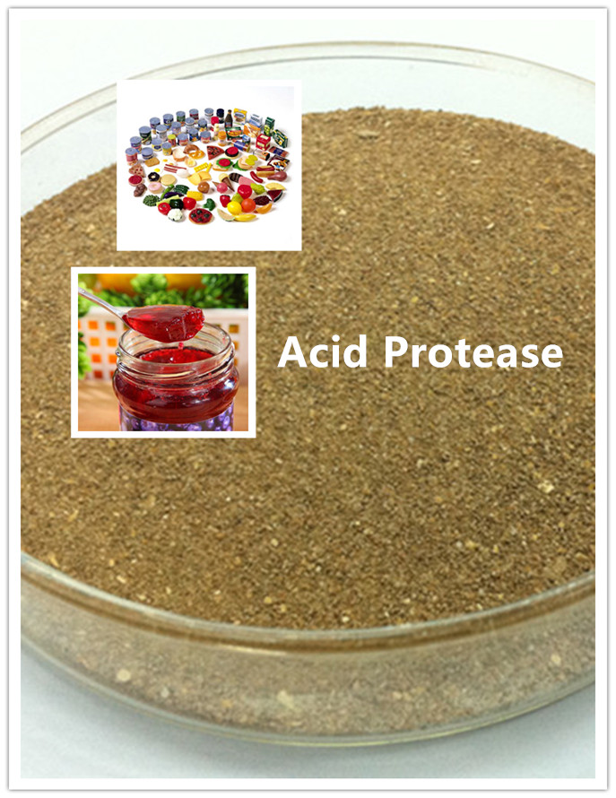 acid protease proteasa ácida