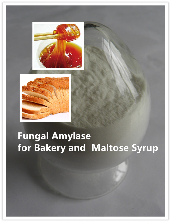 fungal alpha amyalse Fungal Alfa Amyalse