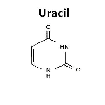 uracílico