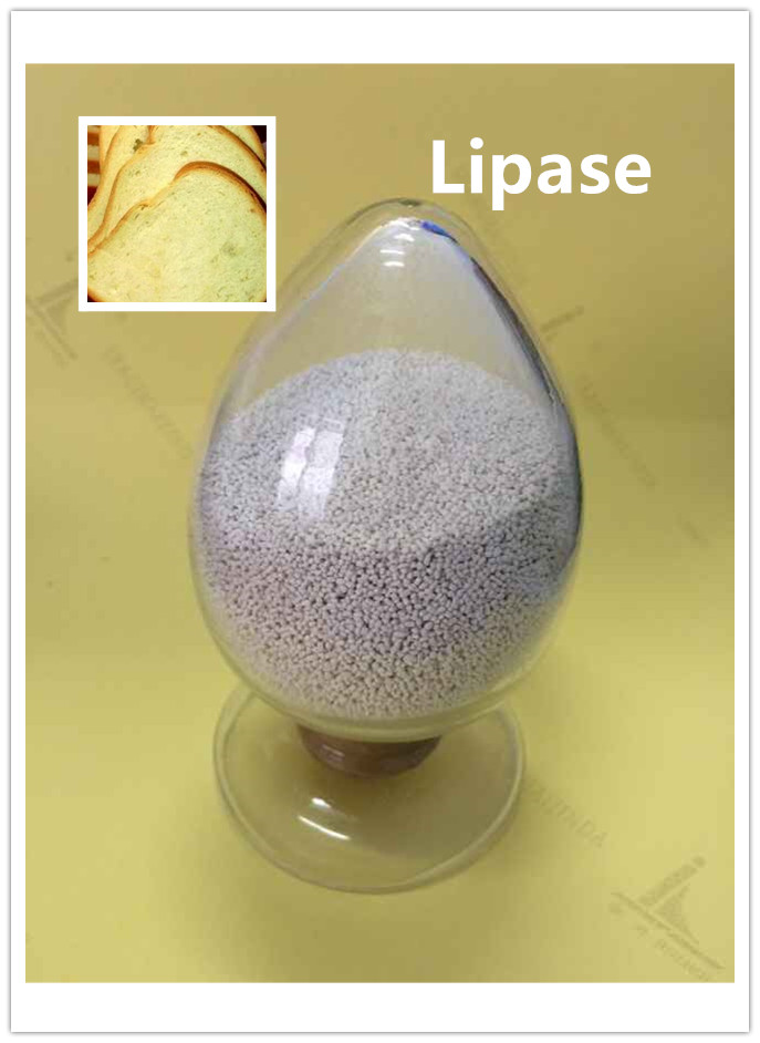 lipasa