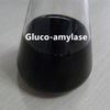 Gluco amilasa