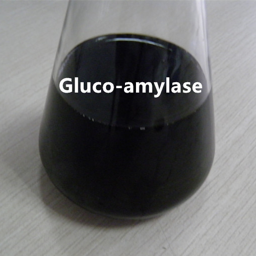 Gluco amilasa