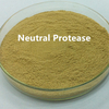 Proteasa neutral