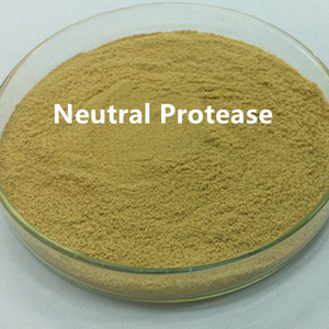 Proteasa neutral