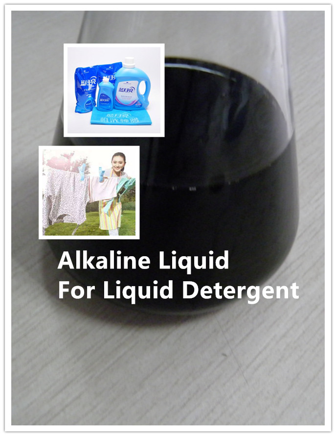 alkaline protease proteasa alcalina