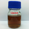 Lipasa