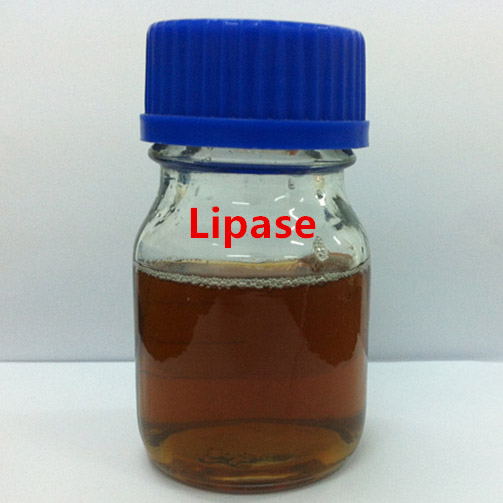 Lipasa