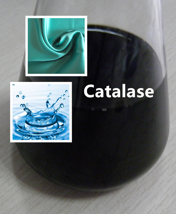catalasa 