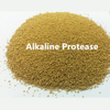 Proteasa alcalina