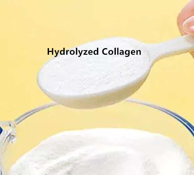 collagen polvo de