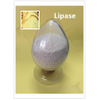 Lipasa