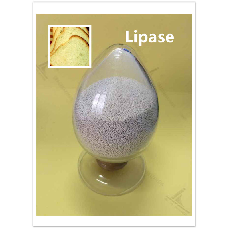 Lipasa