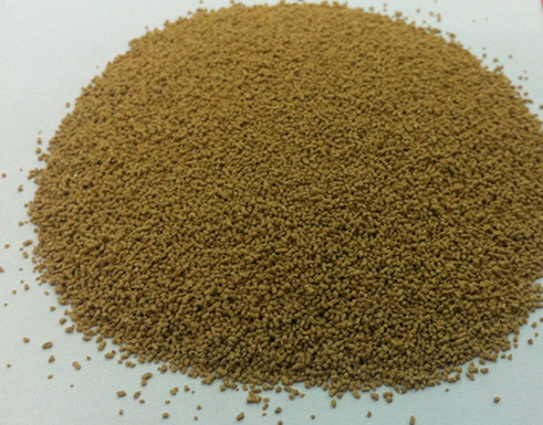 detergent enzyme Enzima enzimática detergente