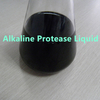 Proteasa alcalina