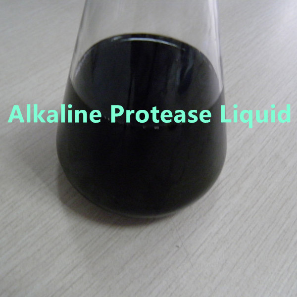 Proteasa alcalina