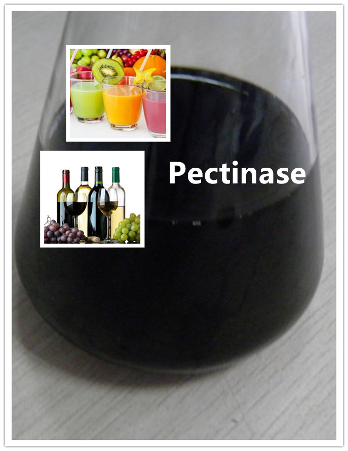 pectinase enzyme pectinasa