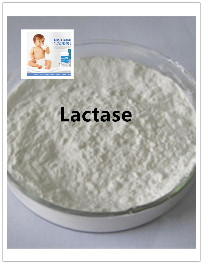 lactase lactasa