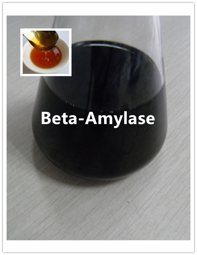beta amylase enzima beta amilasa