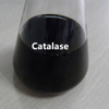 Catalasa