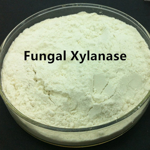 Xilanasa