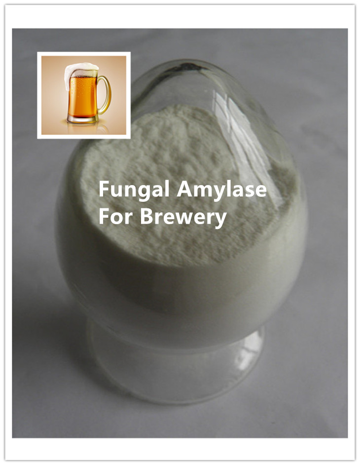 fungal alpha amyalse enzyme Fungal Alfa Amyalse Enzima