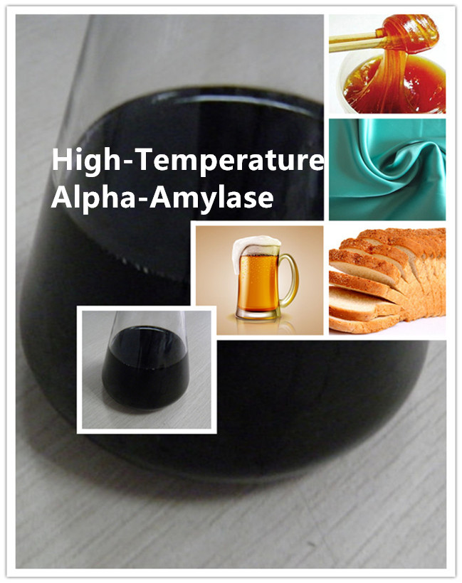 amylase amilasa