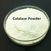 Catalasa