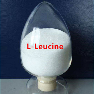 L leucina