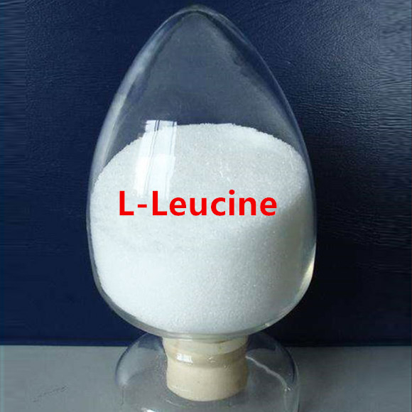 L leucina