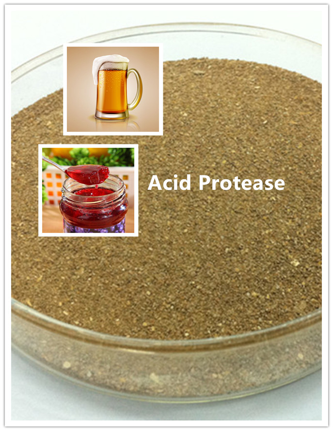 protease proteasa