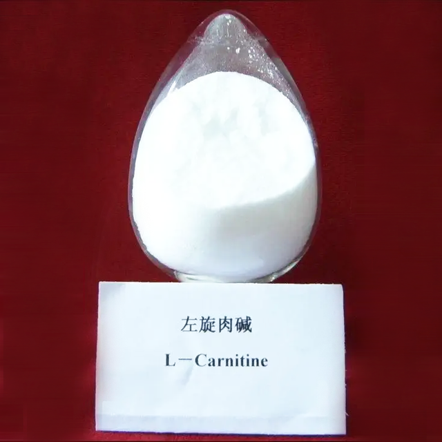 L carnitina