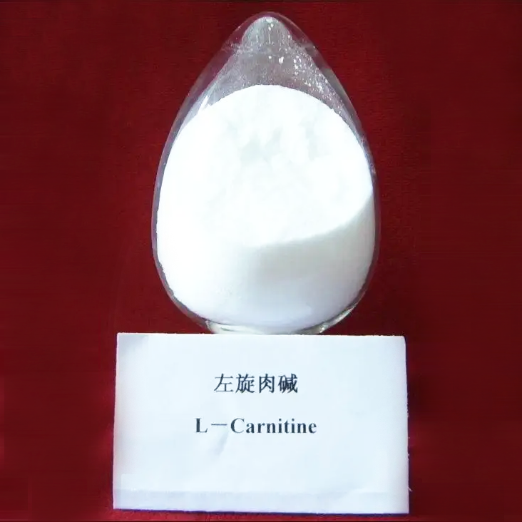L carnitina