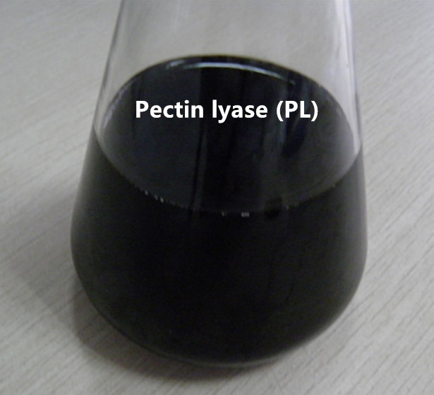 Pectin lyase (PL)