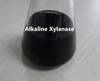 Xilanasa alcalina termostable