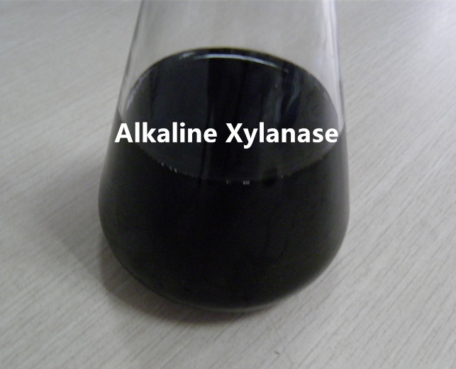 Xilanasa alcalina termostable