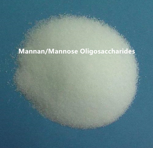 Comprender los beneficios y aplicaciones potenciales de los oligosacáridos de manosa